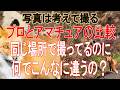【同じ場所で撮ってもこんなに違う！】上手い人はこう考えて撮る！プロとアマチュアの比較 10