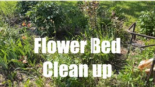 Flower Bed Cleanup & Makeover | Weeds, Baby Trees, Mulch & Annuals