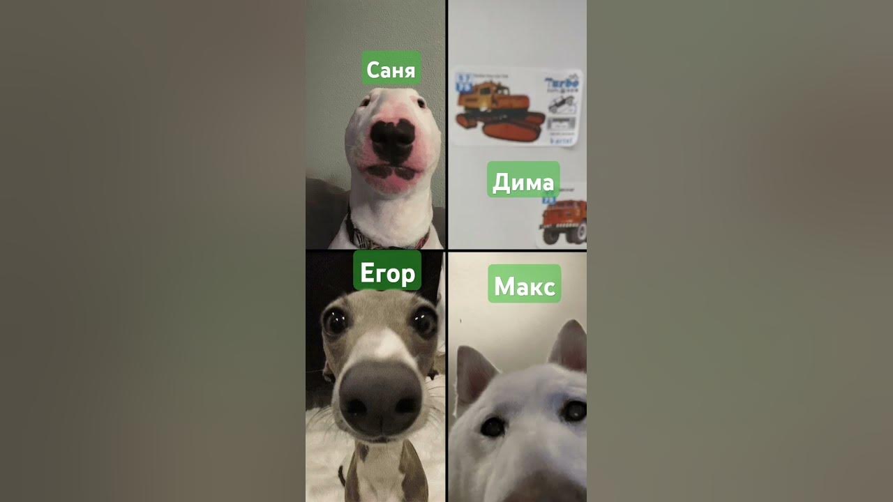 Саня, Егор, Макс, Дима сигма у него турбо#edit - YouTube