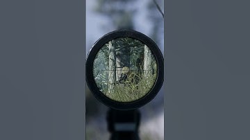 Squad 6.0 Marksman Gameplay #marksman #squad #sniper #rifle #gameplay #gaming #infantry #update