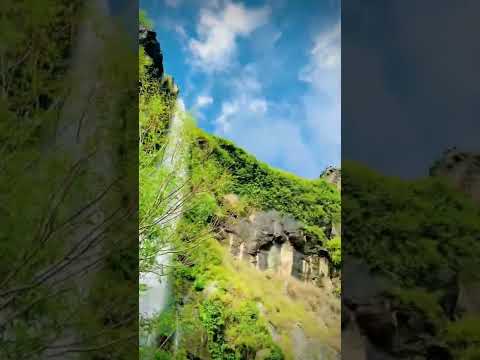 Https Vt Tiktok Com ZSd3usd8a K 1 