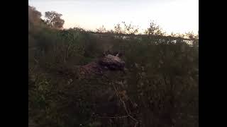 VID 20230615 WA0005