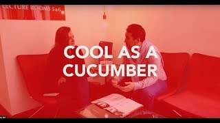 The English Expression Cool As A Cucumber