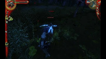 The Witcher Enhanced Edition: HD Gameplay Part 10 - Chapter 2: The Swamp