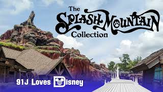 I Hid a Microphone on Splash Mountain (FULL RECORDING) Br'er Frog Laughin' Place | 91J