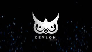 OWL KING LOGO ILLUSTRATOR : Logo Design Tutorial : How to make a Logo in Adobe Illustrator CC