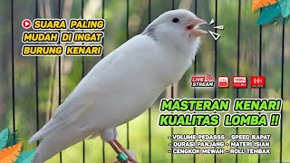 Masteran Kenari PAUD & Pancingan Kenari MACET BUNYI‼ Terapi AMPUH Bikin Kenari GACOR (Episode 131)