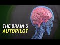 Brain Autopilot: The Brain's Default Mode