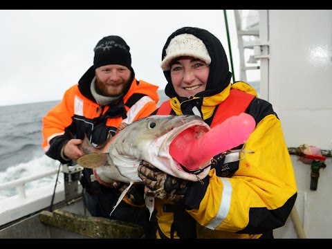 Video: Hva Spiser Sjømat?