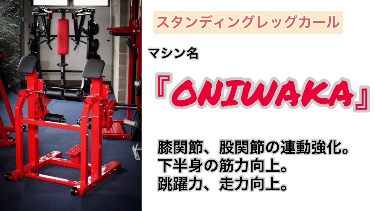 ～美しいランニングフォーム～　レッグカール＆レッグイクス・マシン（スタンダード） レッグストレングス : GentlemanFitnessClub - 通販 - Yahoo!ショッピング