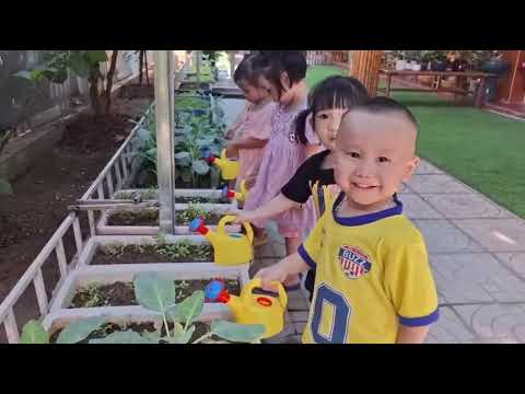 Thứ 7 yêu thương của các bé Nhà trẻ D1