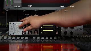 Information Governor - Valve, Optical Compressor Sound Demo (Female Vox3) Guide