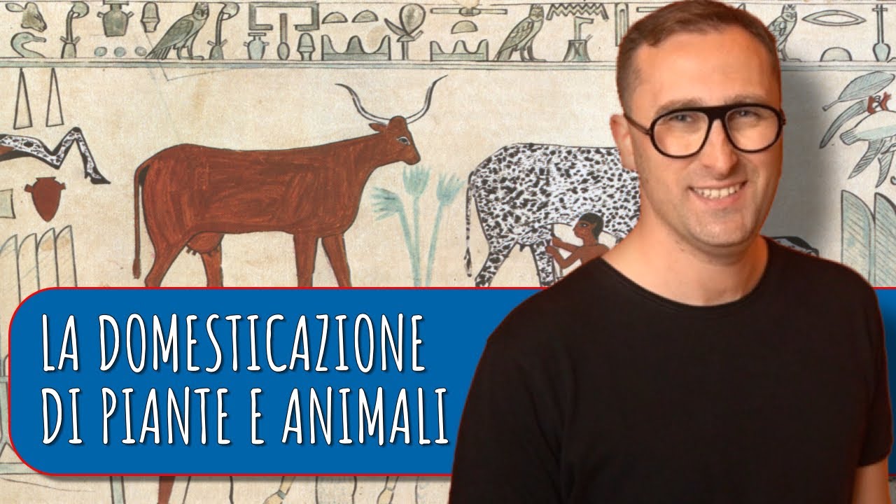 Perché la domesticazione dei cereali selvatici richiese migliaia di anni?
