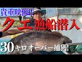 アラ（クエ釣り）衝撃映像❕３０キロオーバー高級魚クエ❕捕獲❕❕