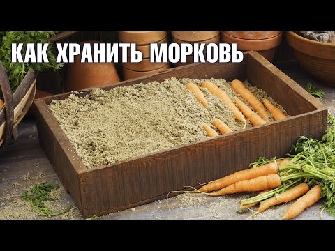 Как хранить морковь? Полезные советы. Огород без хлопот с HitsadTV