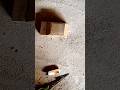 Mini Cardboard Car 🚗 Part 2 | Body Build &amp; Details #DIY #CardboardCar #MiniCar #Craft #shorts