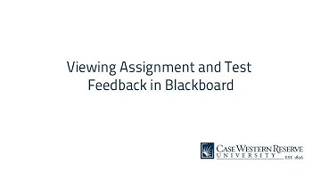 Students: Viewing Feedback in Blackboard