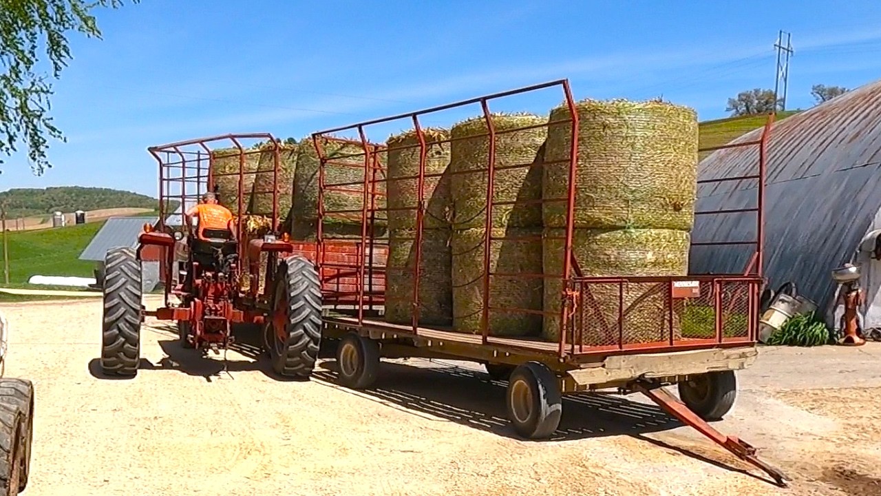 The Big Move: Stockpiling a Summer's Worth of Bedding! Hauling Bales On A Dairy Farm!