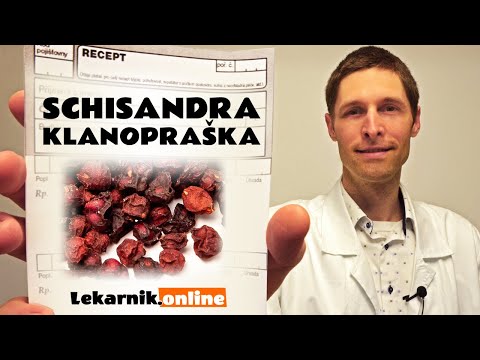 Video: Schisandra: Jak šířit Zvědavost?