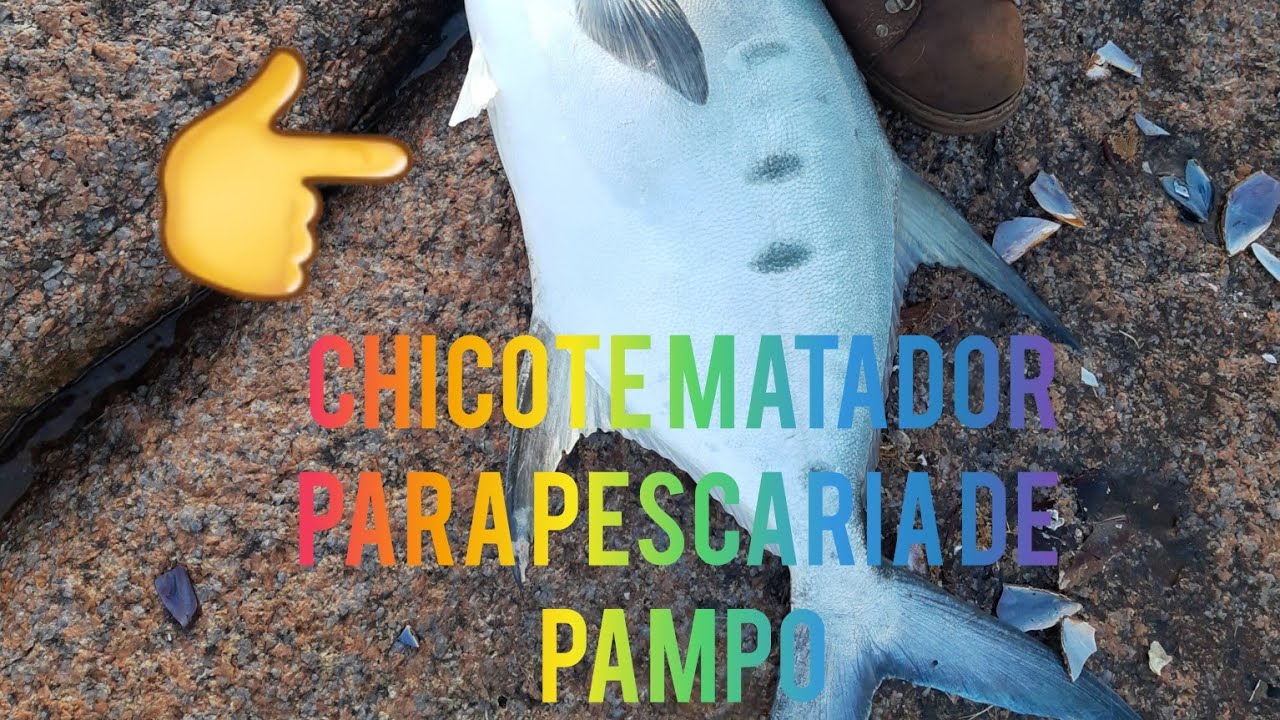 como fazer  um chicote para pescar pampo.