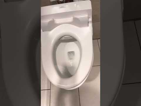 Toto CT708E Toilets Flush Washlet Royal Hawaiian Shopping Center Food Court Waikiki Hawaii 
