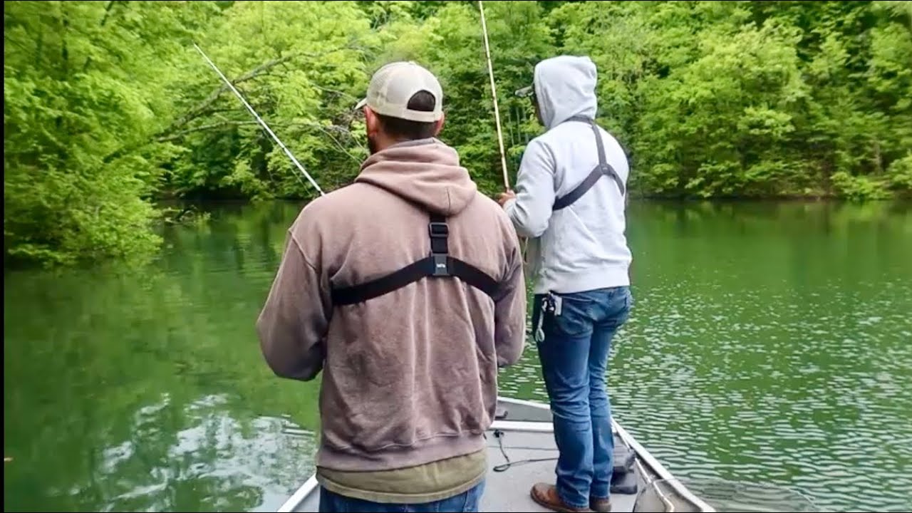 Catching a Variety of BIG!! Fish - Dale Hollow Lake Tennessee 