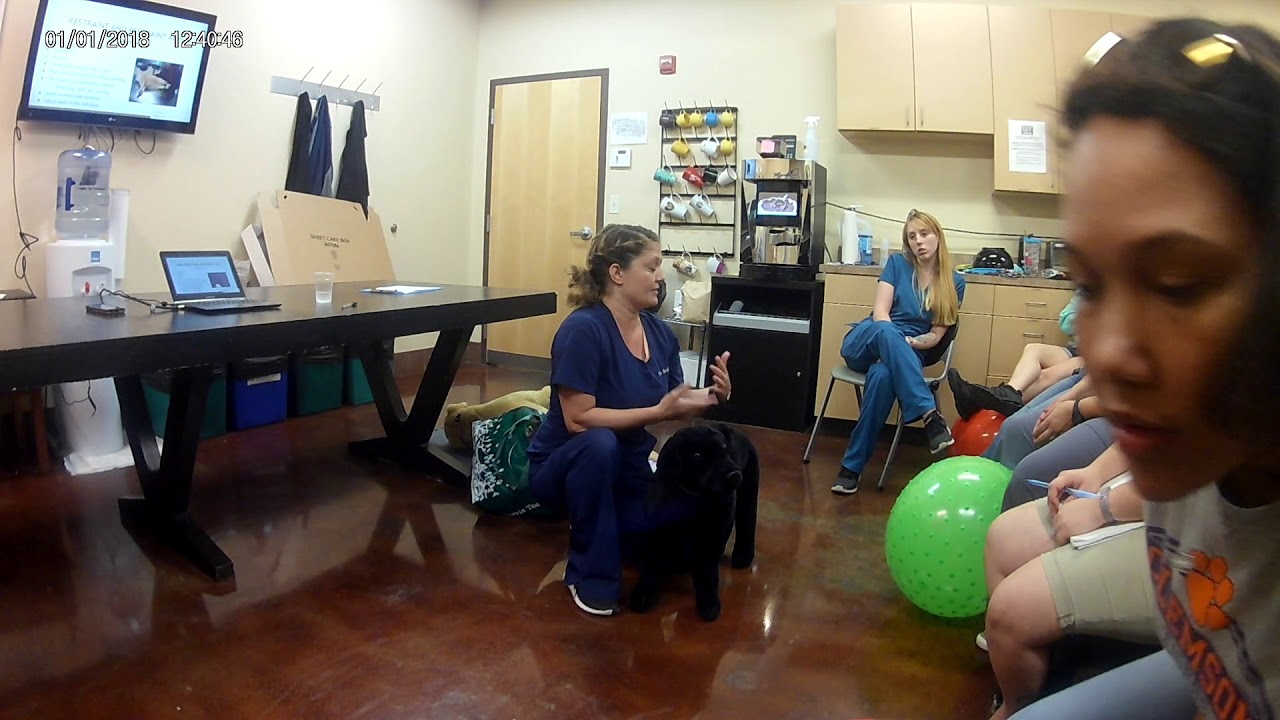 Patient Restraint Techniques Part 2