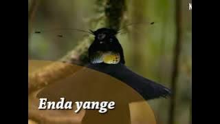 MUKWANO YESU - The Hebrews Choir #THC