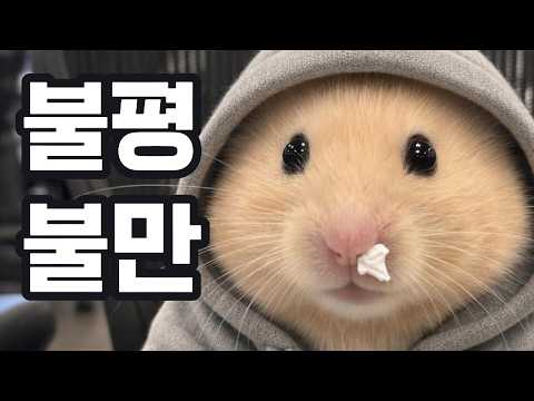 직장인의 내적 푸념