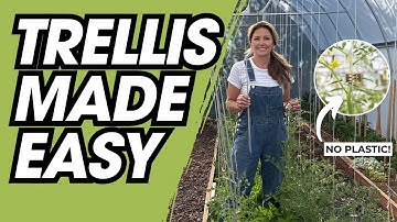 Installing and Using the Qlipr Trellis System