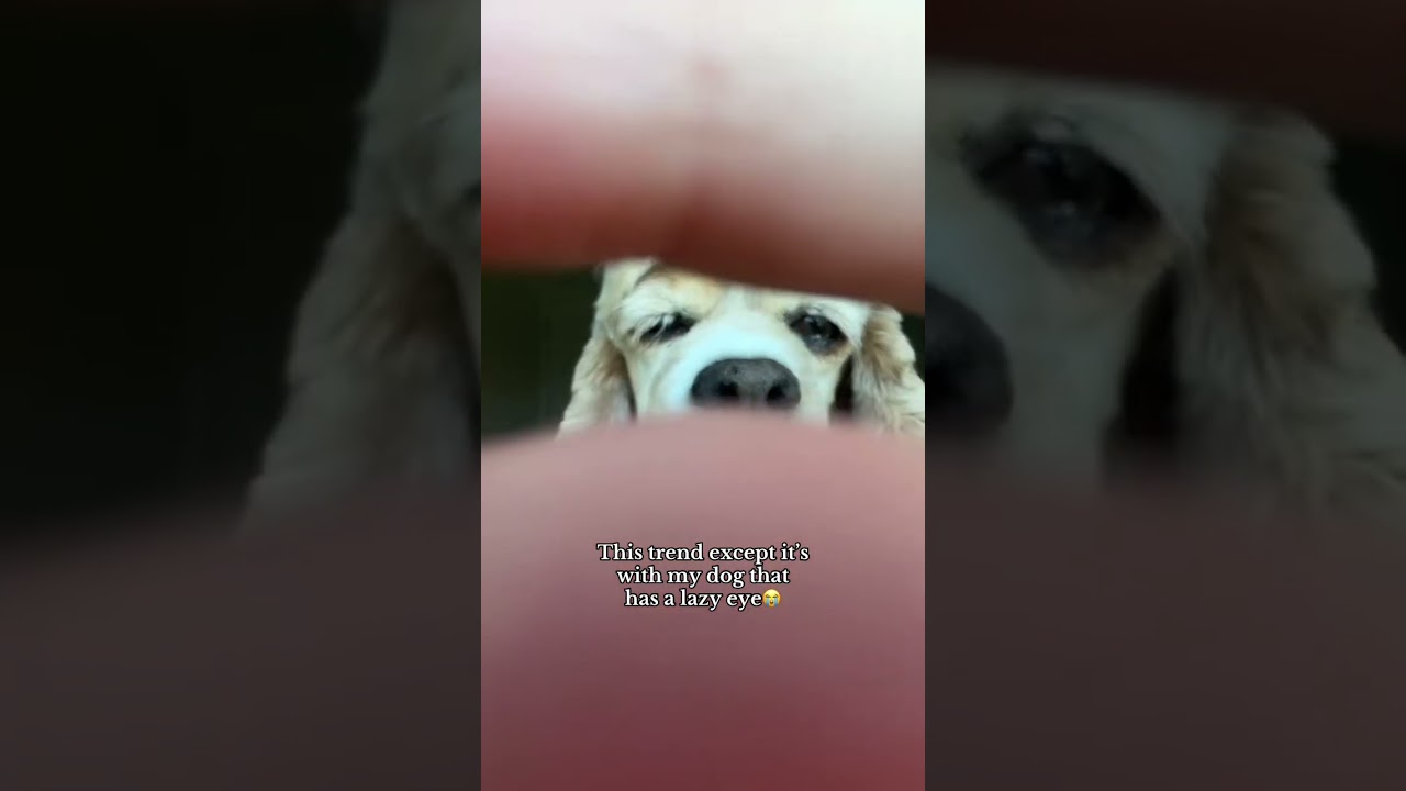 She&rsquo;s so cute😭🥹 #shorts