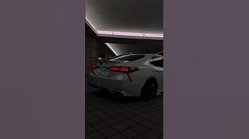 شلون ذاك الحب نساء 