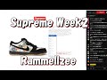 【毎週朝10：30～生配信】Supreme まもなく発売 Week2 ラメルジー シュプリーム '23F/W