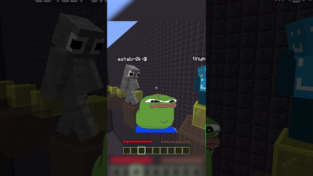 what just happened #shorts #minecraft #minecraftshorts