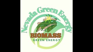 Biomass as Green Energy