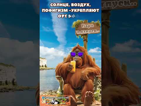 Солнце, воздух, пофигизм, - укрепляют организм! #сарказм #юмор