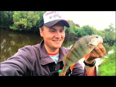 Окунь в корягах. Ультралайт на Малой речке. Найти и поймать КРУПНОГО окуня!