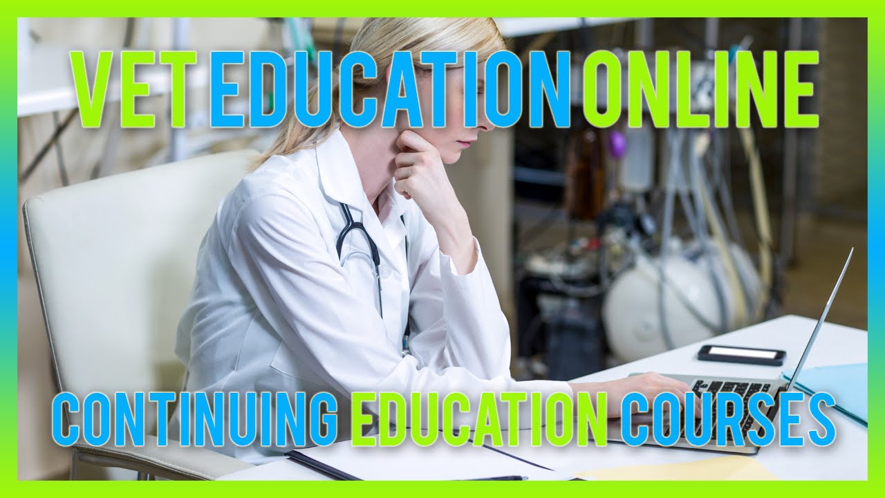 Vet education online youtube