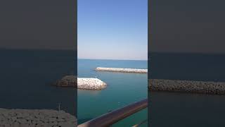 سفرياتي | الكويت | الفحاحيل | شاطئ البحر الجزء ٨