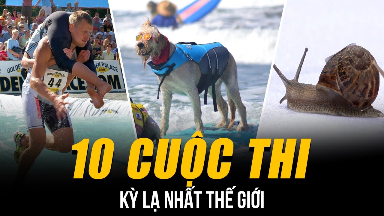 NHỮNG CUỘC THI ĐIÊN RỒ & ĐỘC LẠ NHẤT THẾ GIỚI | THI CÕNG VỢ & CẢ LƯỚT SÓNG DÀNH CHO CHÓ