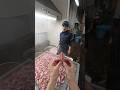 【子持ち】茹でたてヒイカが至高