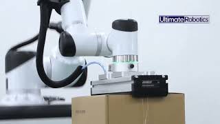 Palletizing Robot - Ultimate Robotics