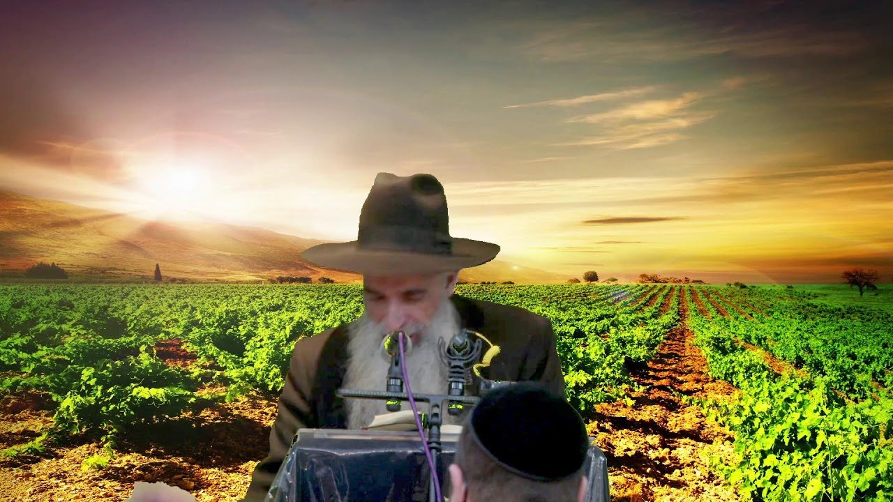 הרב מאיר דוד שמואלי שליט"א בנושא : מי שהוא שמח השטן ממנו בורח!
