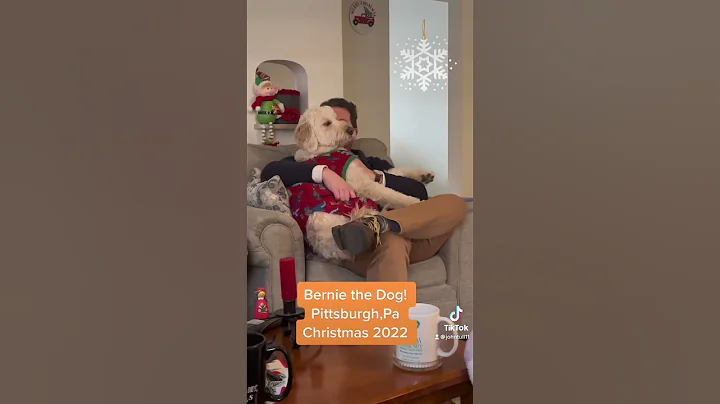 2022 Dec Christmas in Pittsburgh with Bernie the d...