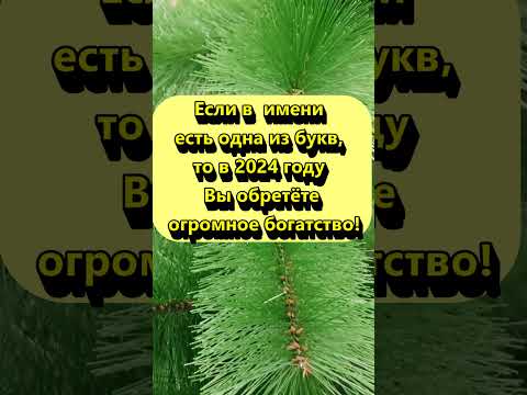 Если в имени есть одна из этих букв, то в 2024 году Вы обретете огромное богатство