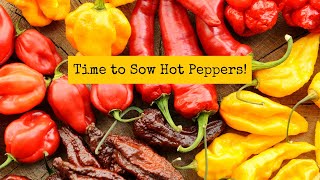 Time to sow hot peppers!
As hot peppers are slow to get going, it is time to sow hot peppers here in Southeast Michigan. You will want to get your hot pepper seeds started 8 to 12 weeks before your final frost date, depending on how much space you have to give them. Follow along with us this year as we from seed to harvest and everything in between! Please subscribe as wed love to have you with us. Time to sow hot peppers!