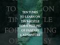 10 Fantasy/Adventure Tunes For Tin Whistle! #bardsongs #tinwhistle #fantasymusic