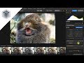 Luminar als Plug-in für Photoshop und Lightroom – Luminar Flex Vorstellung