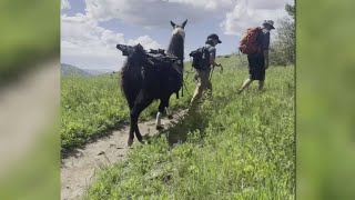 New experiences and hidden gems to check out in Vail this summer