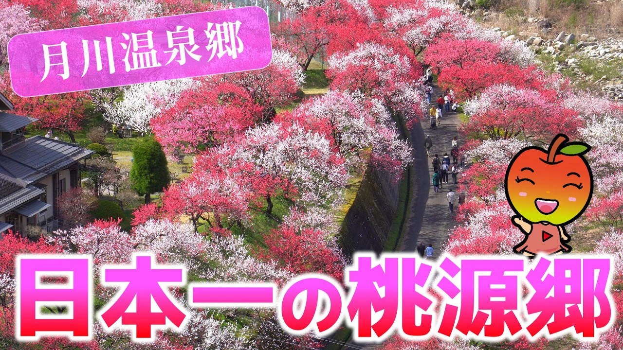Tsukikawa Onsenkyo Hanatomo no Sato] The 